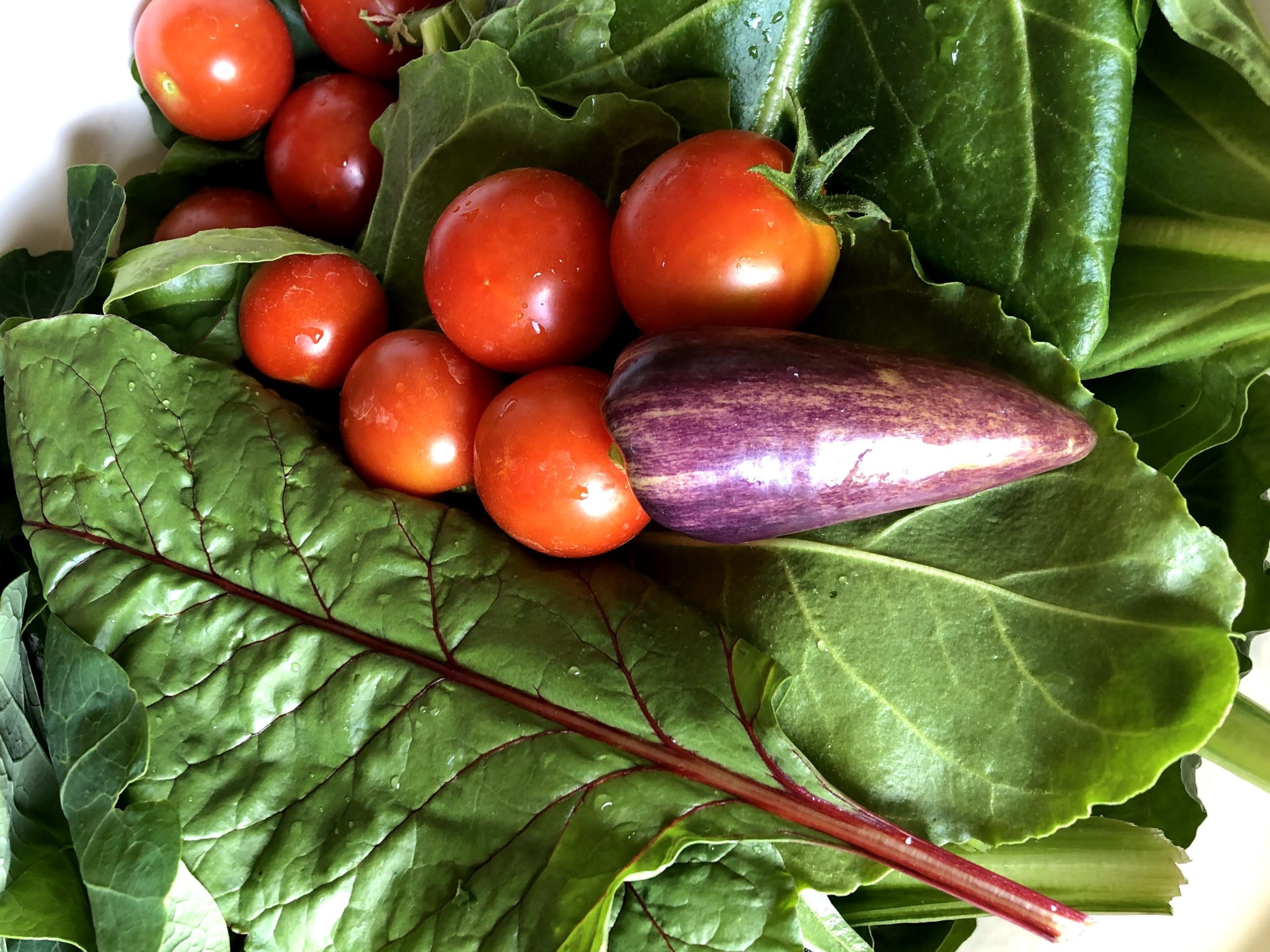 The Price of Clean Eating