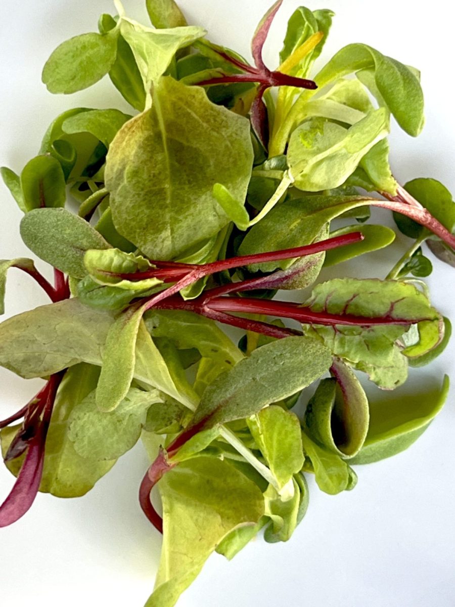 Unexpected Microgreens